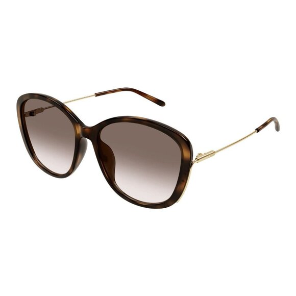 NEW  CHLOE SUNGLASSES HAVANA WOMEN EYEWEAR CHLOE - Picture 1 of 3